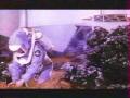 snapshot(732).jpg