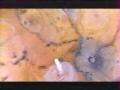 snapshot(821).jpg