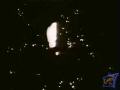 sf0447.jpg
